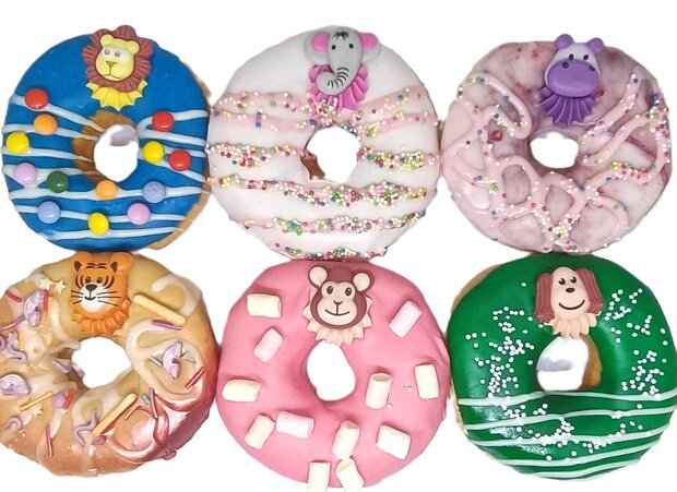 Donuts Safari Box - 6 stuks